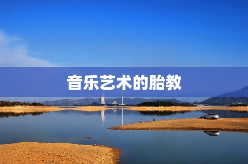 音乐艺术的胎教