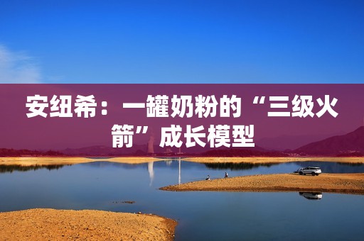安纽希：一罐奶粉的“三级火箭”成长模型