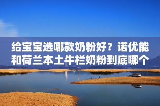 给宝宝选哪款奶粉好？诺优能和荷兰本土牛栏奶粉到底哪个好？