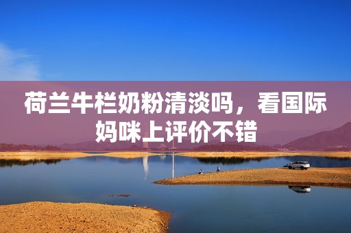 荷兰牛栏奶粉清淡吗，看国际妈咪上评价不错