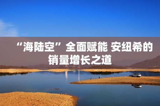 “海陆空”全面赋能 安纽希的销量增长之道