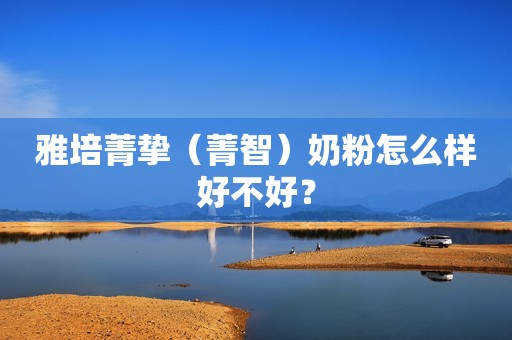 雅培菁挚（菁智）奶粉怎么样好不好？