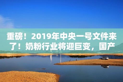 重磅！2019年中央一号文件来了！奶粉行业将迎巨变，国产奶粉品牌迎来重大利好！