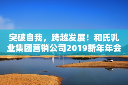 突破自我，跨越发展！和氏乳业集团营销公司2019新年年会圆满落幕！