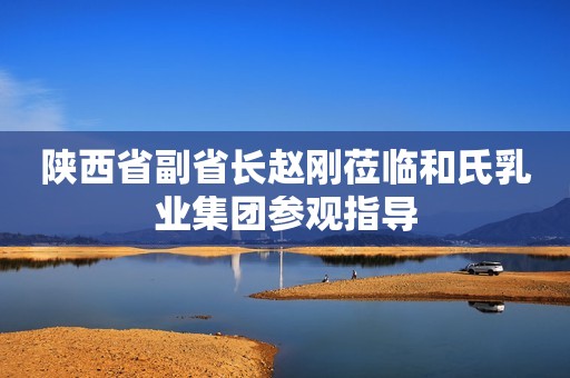 陕西省副省长赵刚莅临和氏乳业集团参观指导