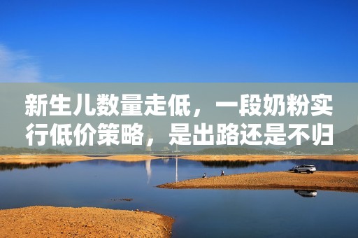 新生儿数量走低，一段奶粉实行低价策略，是出路还是不归路？