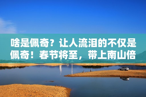 啥是佩奇？让人流泪的不仅是佩奇！春节将至，带上南山倍慧一起回家看父母吧！