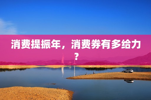 消费提振年，消费券有多给力？