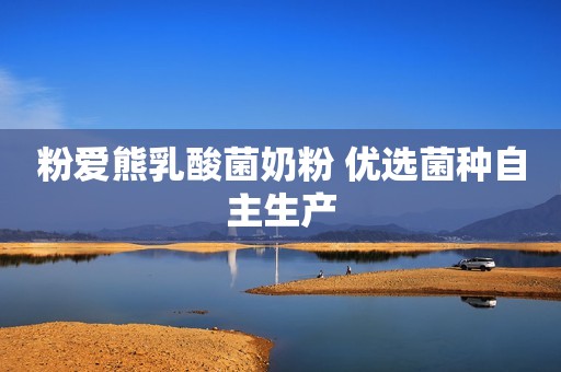 粉爱熊乳酸菌奶粉 优选菌种自主生产