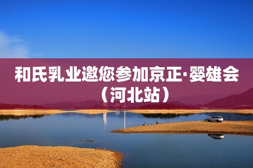 和氏乳业邀您参加京正·婴雄会（河北站）