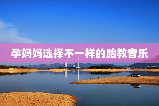 孕妈妈选择不一样的胎教音乐