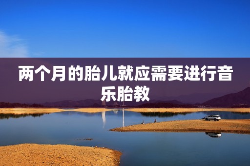 两个月的胎儿就应需要进行音乐胎教
