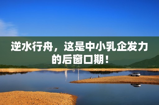 逆水行舟，这是中小乳企发力的后窗口期！