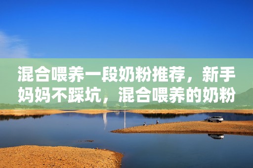 混合喂养一段奶粉推荐，新手妈妈不踩坑，混合喂养的奶粉有这些！