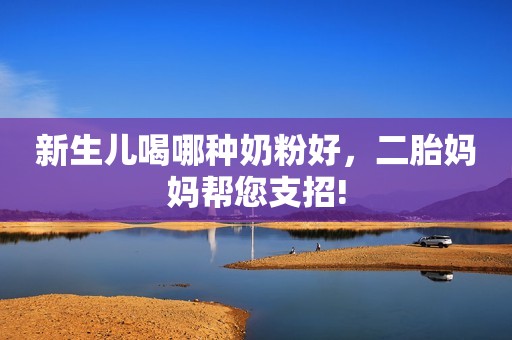新生儿喝哪种奶粉好，二胎妈妈帮您支招!