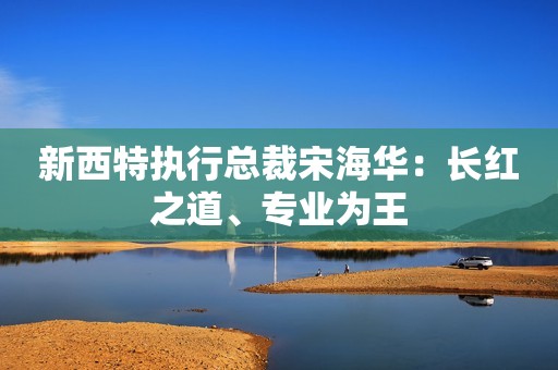 新西特执行总裁宋海华：长红之道、专业为王