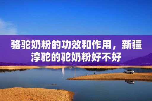 骆驼奶粉的功效和作用，新疆淳驼的驼奶粉好不好