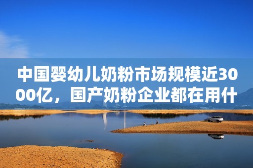 中国婴幼儿奶粉市场规模近3000亿，国产奶粉企业都在用什么域名？