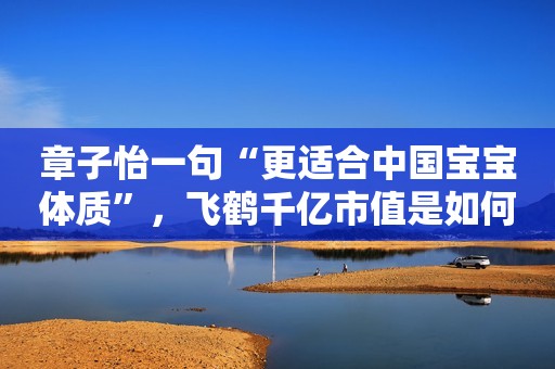 章子怡一句“更适合中国宝宝体质”，飞鹤千亿市值是如何炼成的？