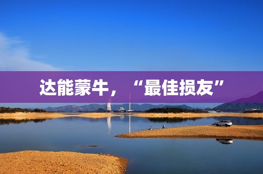达能蒙牛，“最佳损友”