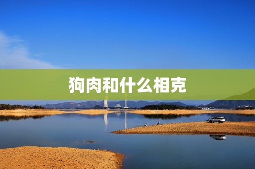 狗肉和什么相克
