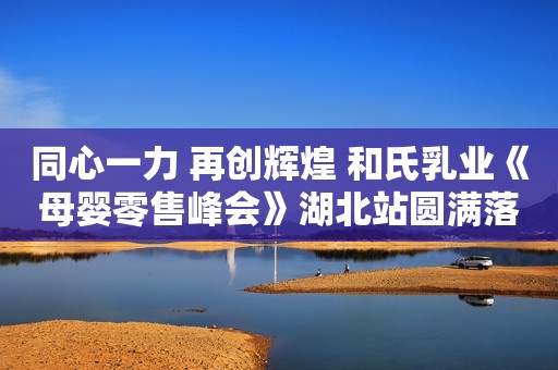 同心一力 再创辉煌 和氏乳业《母婴零售峰会》湖北站圆满落幕