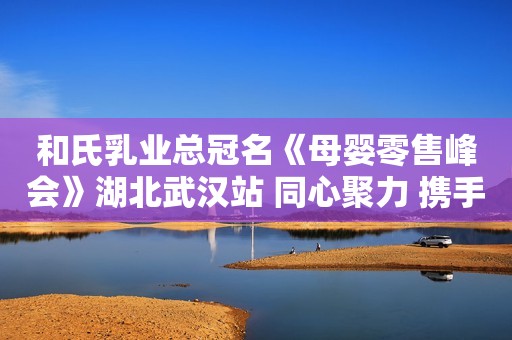 和氏乳业总冠名《母婴零售峰会》湖北武汉站 同心聚力 携手迈进