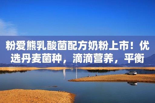 粉爱熊乳酸菌配方奶粉上市！优选丹麦菌种，滴滴营养，平衡膳食，门店下一个利润黑马就是它！