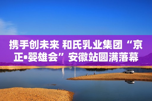 携手创未来 和氏乳业集团“京正•婴雄会”安徽站圆满落幕
