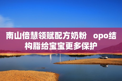 南山倍慧领赋配方奶粉   opo结构脂给宝宝更多保护