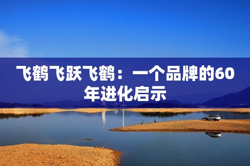 飞鹤飞跃飞鹤：一个品牌的60年进化启示