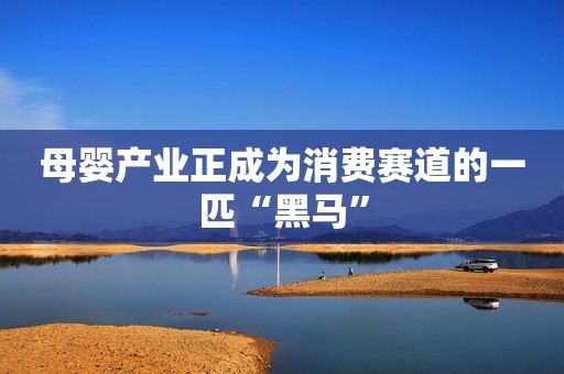 母婴产业正成为消费赛道的一匹“黑马”