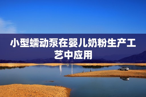 小型蠕动泵在婴儿奶粉生产工艺中应用