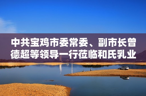 中共宝鸡市委常委、副市长曾德超等领导一行莅临和氏乳业集团视察参观