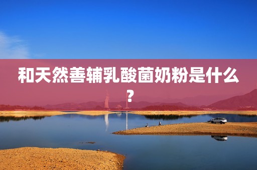 和天然善辅乳酸菌奶粉是什么？