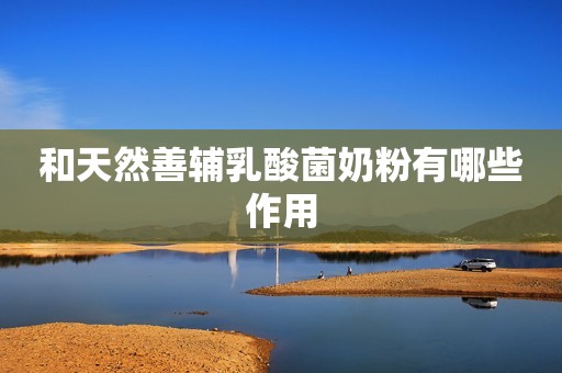 和天然善辅乳酸菌奶粉有哪些作用