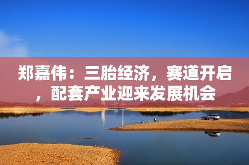 郑嘉伟：三胎经济，赛道开启，配套产业迎来发展机会