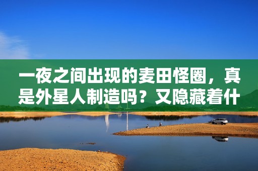 一夜之间出现的麦田怪圈，真是外星人制造吗？又隐藏着什么秘密？