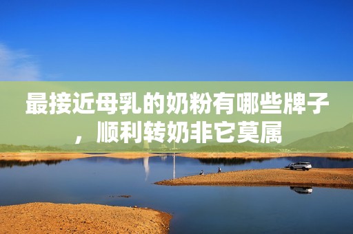 最接近母乳的奶粉有哪些牌子，顺利转奶非它莫属