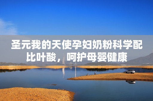 圣元我的天使孕妇奶粉科学配比叶酸，呵护母婴健康