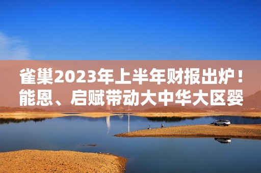 雀巢2023年上半年财报出炉！能恩、启赋带动大中华大区婴儿营养业务实现中个位数增长