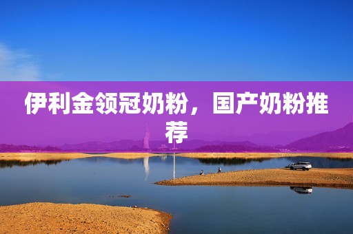 伊利金领冠奶粉，国产奶粉推荐