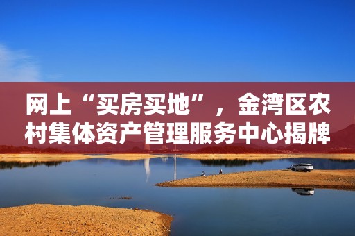网上“买房买地”，金湾区农村集体资产管理服务中心揭牌