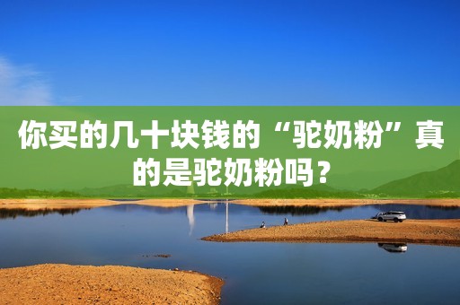 你买的几十块钱的“驼奶粉”真的是驼奶粉吗？
