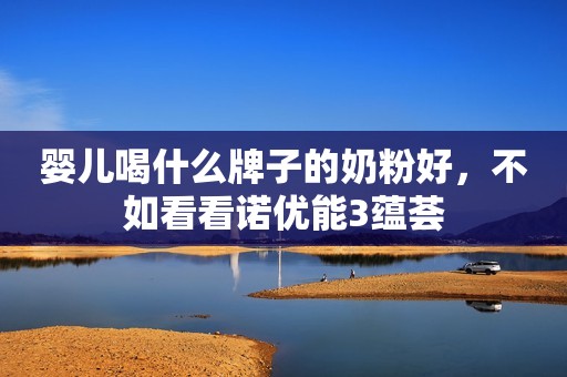 婴儿喝什么牌子的奶粉好，不如看看诺优能3蕴荟