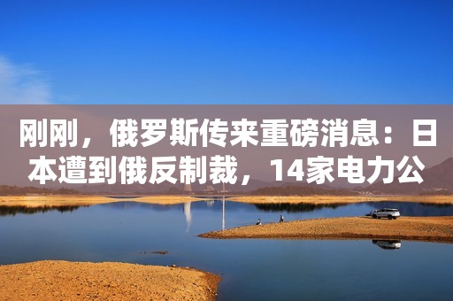刚刚，俄罗斯传来重磅消息：日本遭到俄反制裁，14家电力公司接连破产！  这一下子可把日本给疼坏了，本想着在自己大哥面前出个风头，谁知道被俄罗斯一拳捶得找不到东南西北，得罪了俄罗斯不说，还把自己的小命啊也给搭上了，简直是杀敌1000自损1800。这不，随着日本的作死行为，自家的14个电力公司也被自己玩破产了，直接刷新了大规模破产记录。可以说是不作死就不会死。  跟普京玩，日本还是嫩了点，在反制裁的同时，普京宣布了一项重大决定，直接把日本的脖子卡得死死的，那么接下来，日本的小日子还能好过吗？  你们