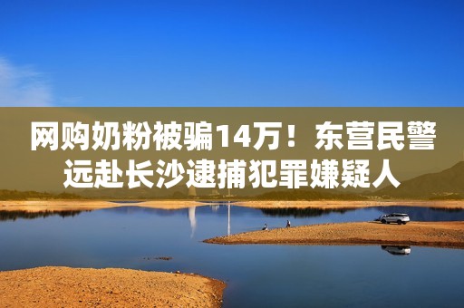 网购奶粉被骗14万！东营民警远赴长沙逮捕犯罪嫌疑人