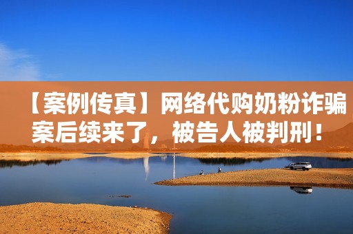 【案例传真】网络代购奶粉诈骗案后续来了，被告人被判刑！