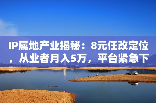 IP属地产业揭秘：8元任改定位，从业者月入5万，平台紧急下架