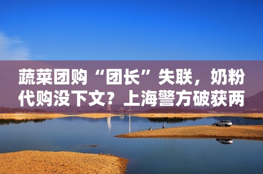 蔬菜团购“团长”失联，奶粉代购没下文？上海警方破获两起诈骗案